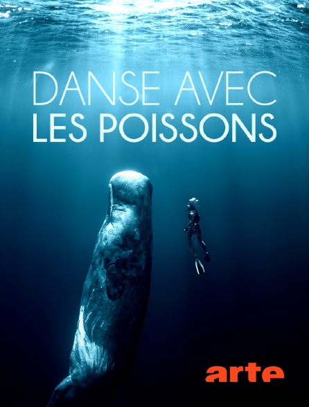 Zerone IPTV Pro FR - Danse avec les poissons (2014)