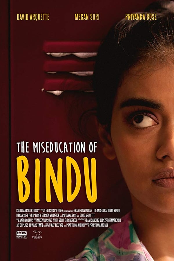 Zerone IPTV Pro EN - The MisEducation of Bindu  (2019)