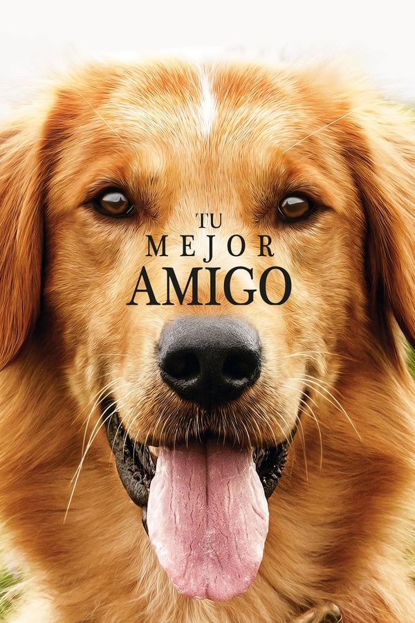 Zerone IPTV Pro ES - A Dog's Purpose  (2017)