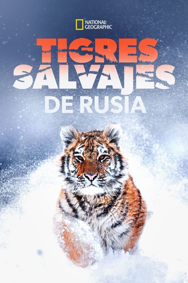 Zerone IPTV Pro ES - Tigres salvajes de Rusia  (2022)