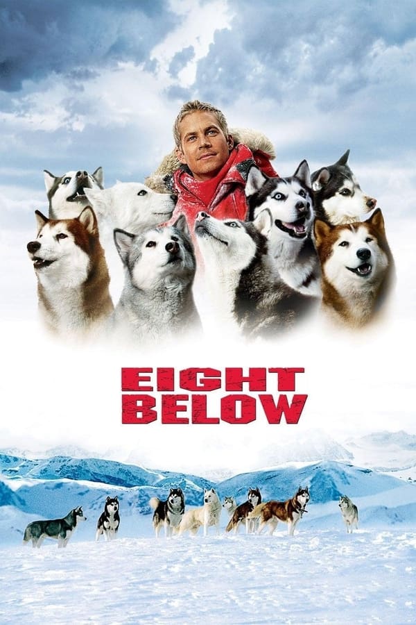 Zerone IPTV Pro NL - Eight Below (2006)