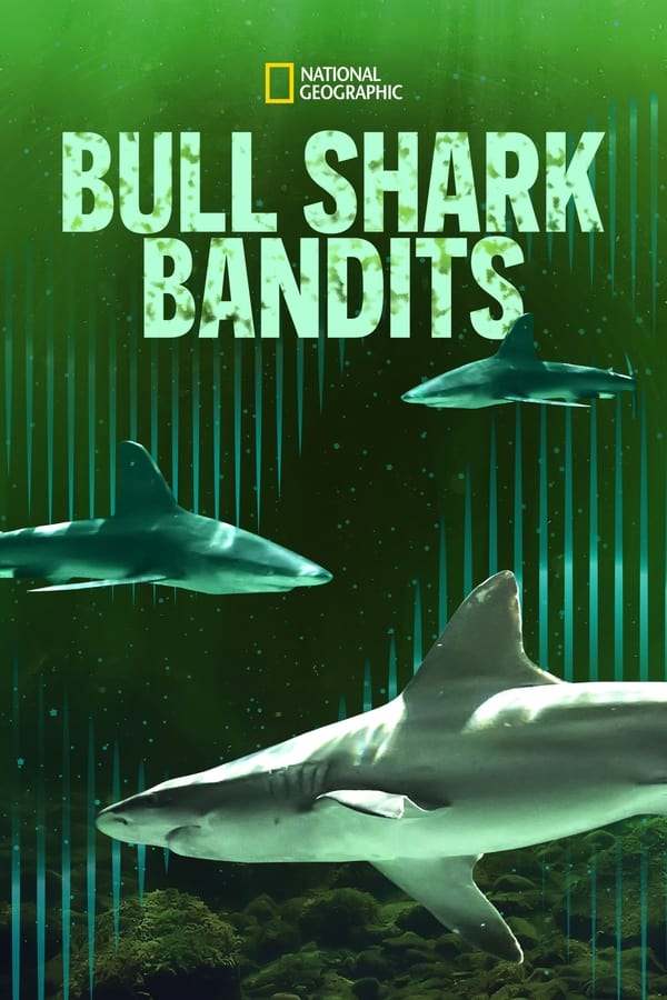 Zerone IPTV Pro EN - Bull Shark Bandits (2023)