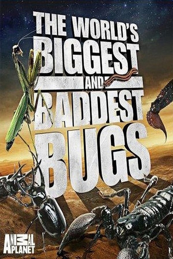 Zerone IPTV Pro NL - The World's Biggest and Baddest Bugs (2009)