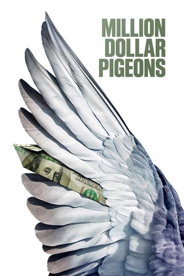 Zerone IPTV Pro EN - Million Dollar Pigeons (2022)