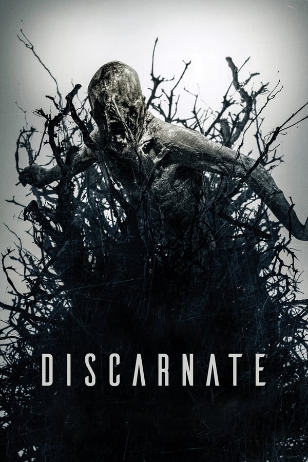 Zerone IPTV Pro NL - Discarnate (2019)