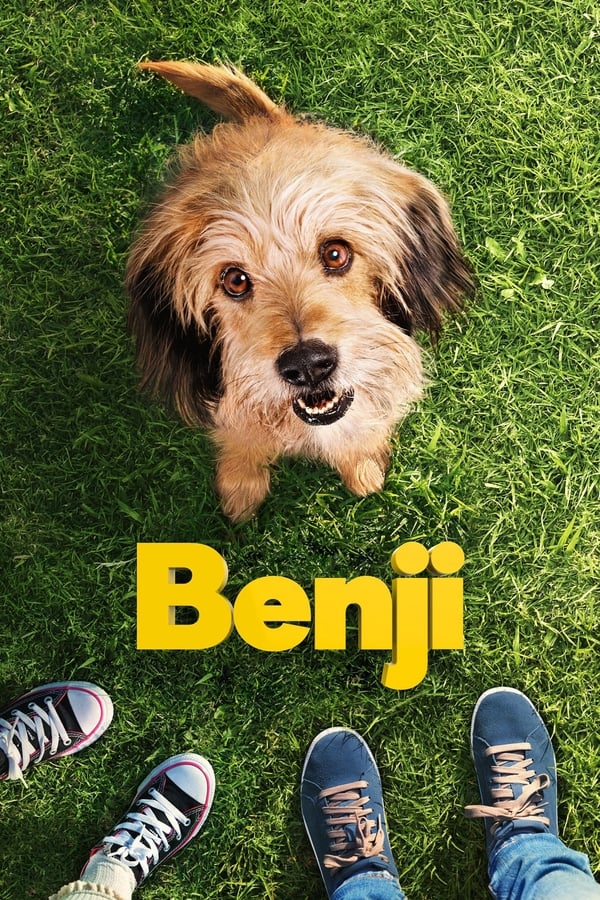 Zerone IPTV Pro NL - Benji (2018)