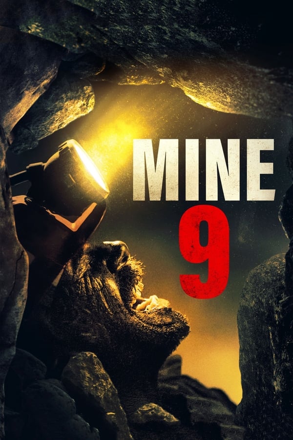 Zerone IPTV Pro NL - Mine 9 (2019)