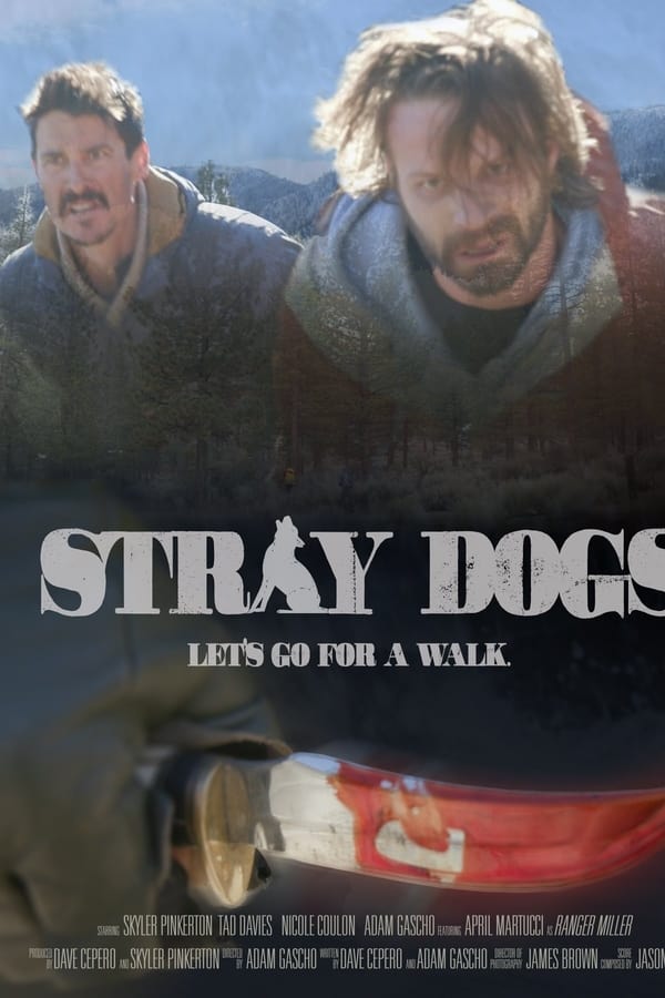 Zerone IPTV Pro EN - Stray Dogs  (2020)