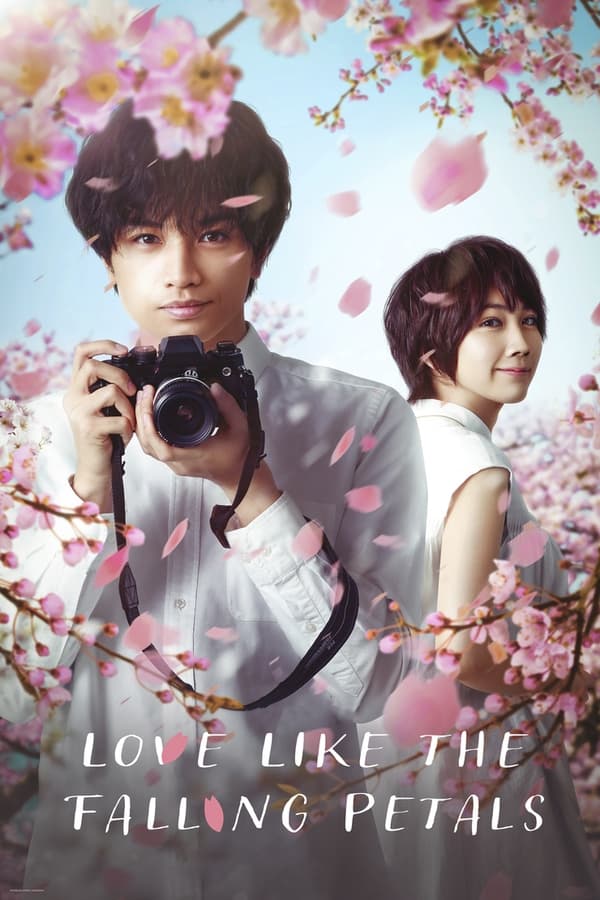 Zerone IPTV Pro NF - Love Like the Falling Petals  (2022)