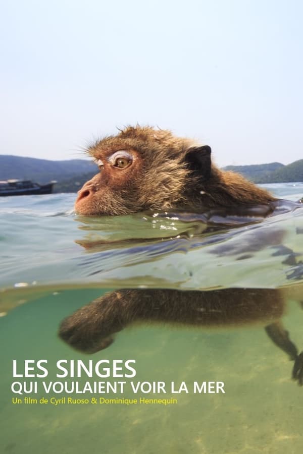 Zerone IPTV Pro FR - Les singes qui voulaient voir la mer  (2020)