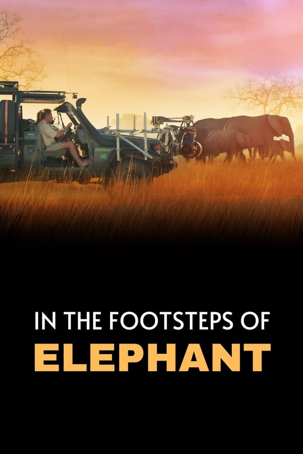 Zerone IPTV Pro NL - In the Footsteps of Elephant (2020)