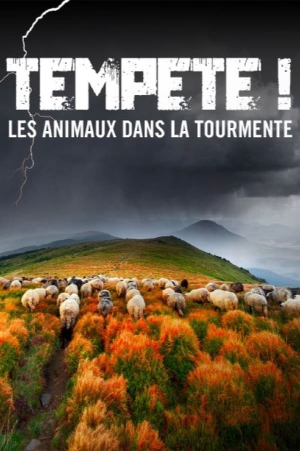 Zerone IPTV Pro FR - Tempête ! Les Animaux dans la tourmente (2023)