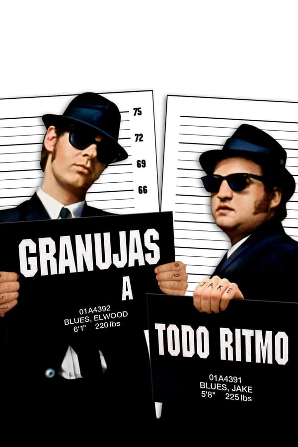 Zerone IPTV Pro LAT - Granujas a todo ritmo (The Blues Brothers) (1980)