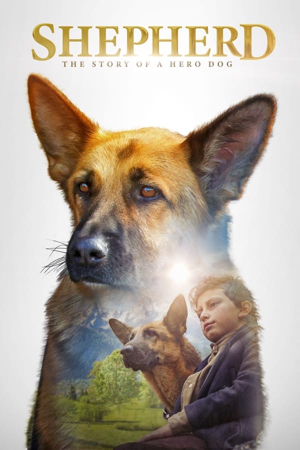 Zerone IPTV Pro NL - Shepherd: The Hero Dog (2020)