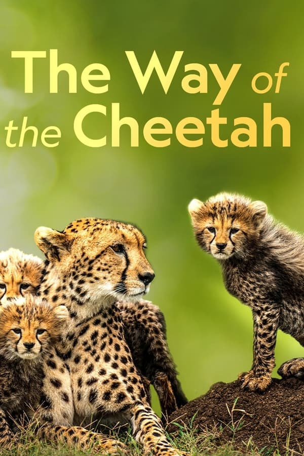 Zerone IPTV Pro D+ - The Way of the Cheetah  (2022)