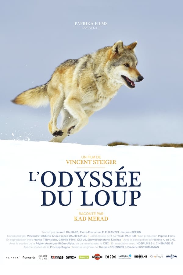 Zerone IPTV Pro FR - L'Odyssée du loup (2019) p2