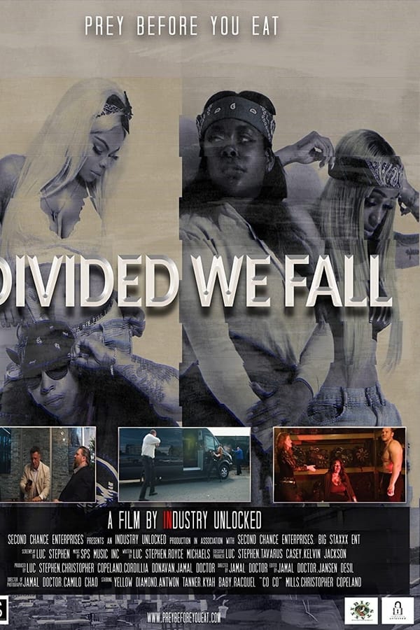 Zerone IPTV Pro EN - Divided We Fall  (2021)