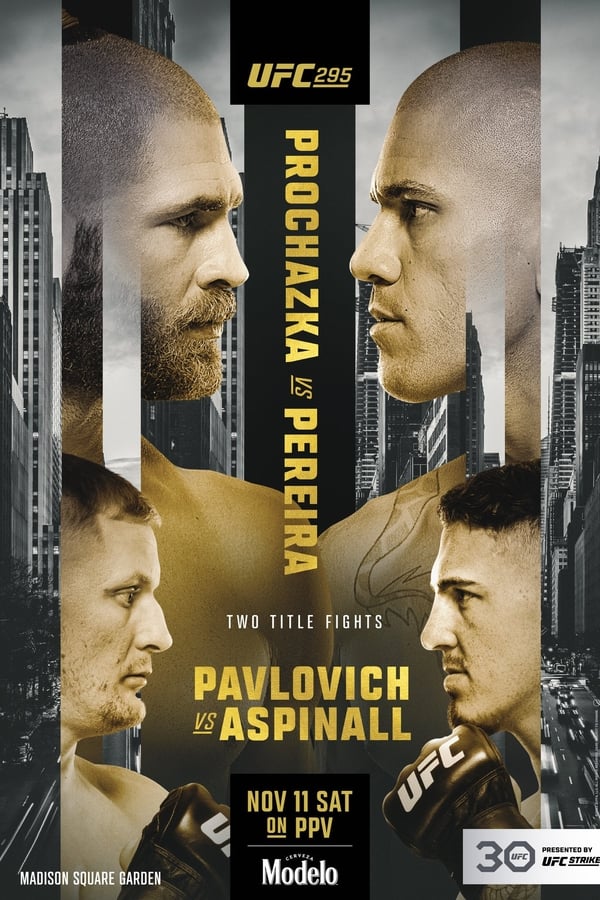 Zerone IPTV Pro PL - UFC 295 Prochazka vs Pereira (2023)