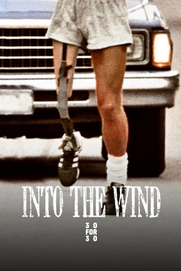 Zerone IPTV Pro NF - Into the Wind  (2010)