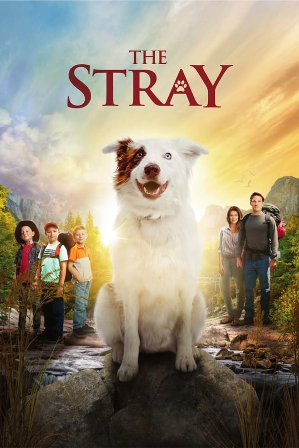 Zerone IPTV Pro LAT - The Stray (2017)