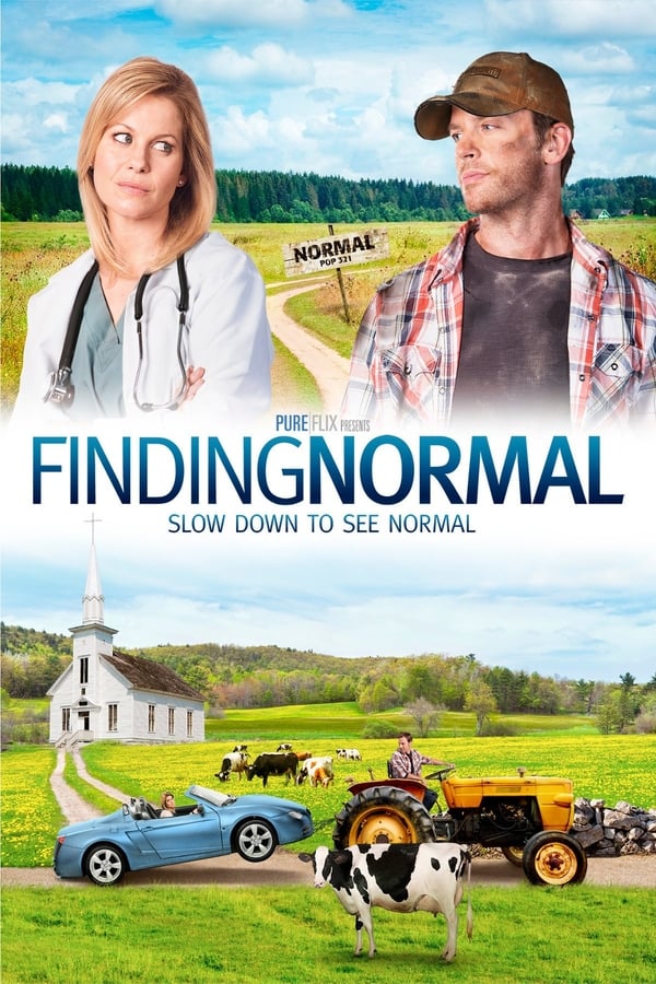 Zerone IPTV Pro NL - Finding Normal (2013)