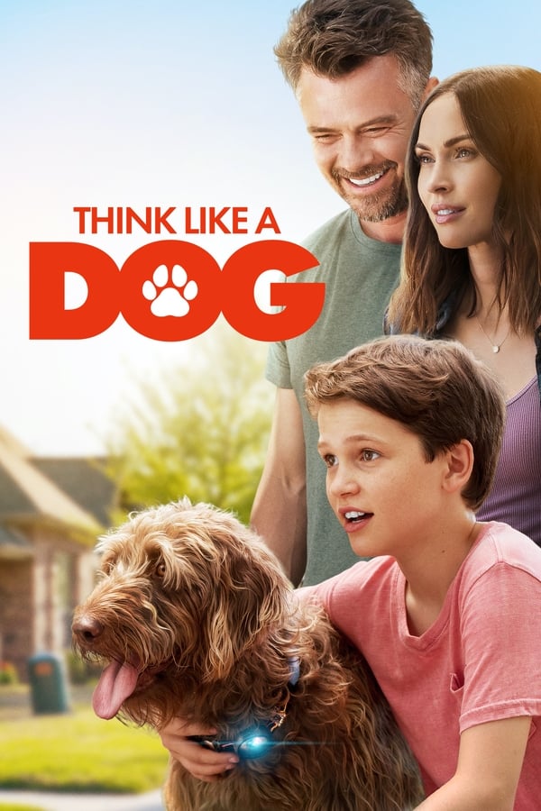 Zerone IPTV Pro NL - Think Like a Dog (2020)