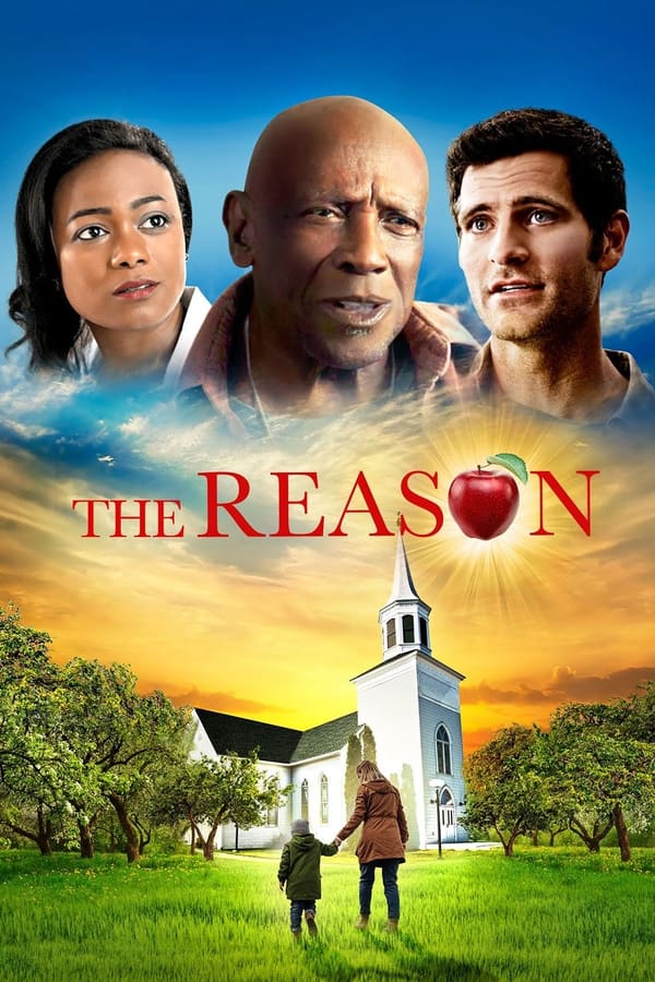 Zerone IPTV Pro NL - The Reason (2020)