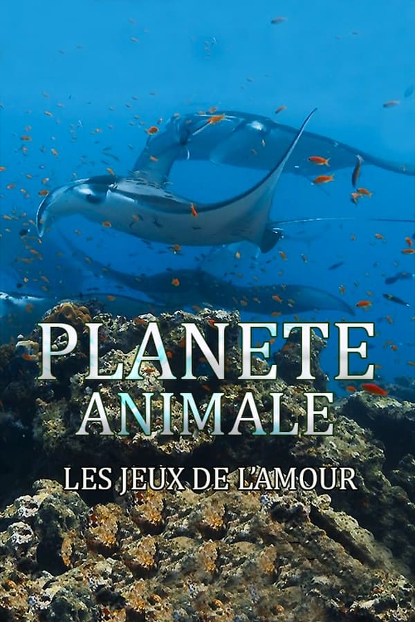 Zerone IPTV Pro FR - Planète Animale : Les jeux de l'amour  (2022)