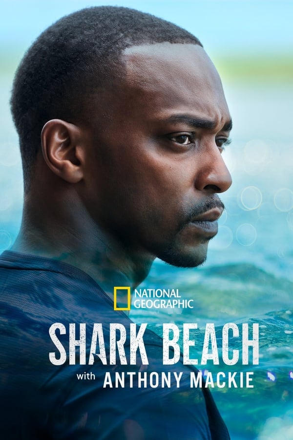 Zerone IPTV Pro EN - Shark Beach with Anthony Mackie (2024)