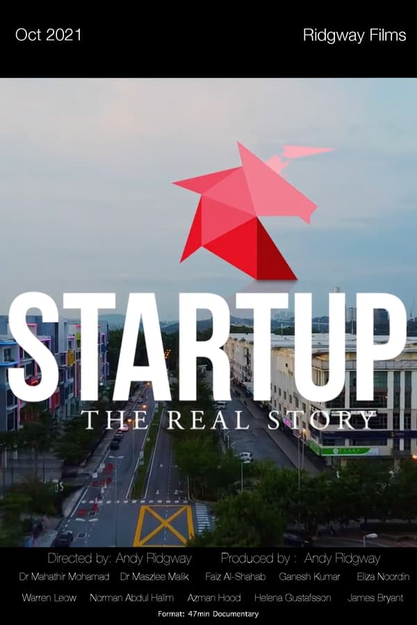 Zerone IPTV Pro EN - Startup: The Real Story  (2021)