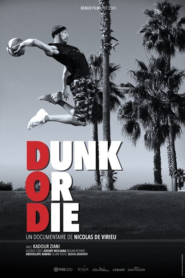 Zerone IPTV Pro FR - Dunk or Die  (2022)