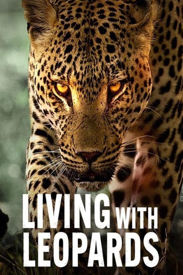 Zerone IPTV Pro EN - Living with Leopards (2024)