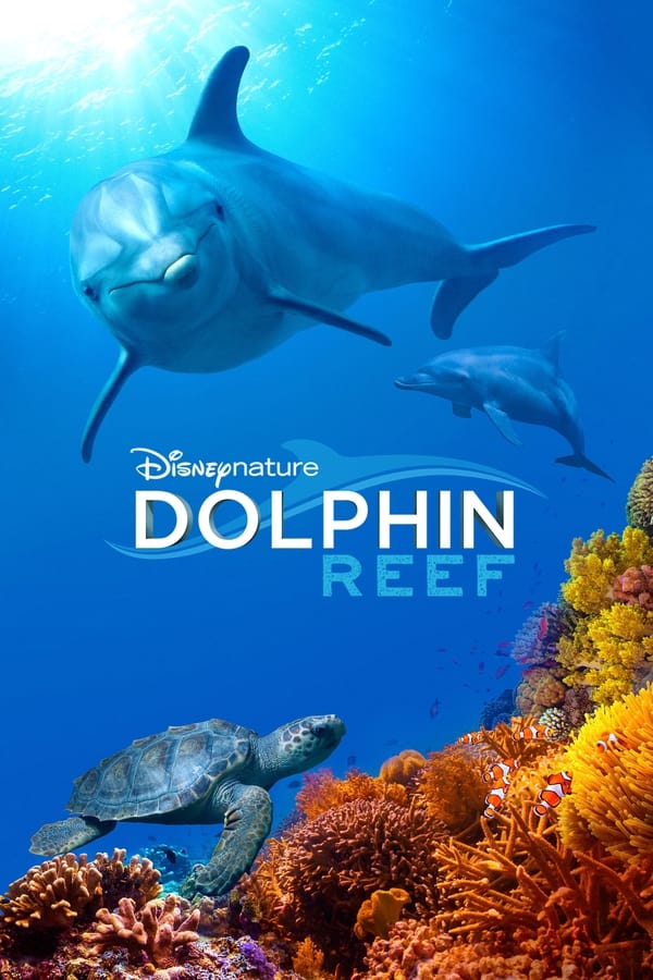 Zerone IPTV Pro PL - DOLPHIN REEF - RAFA DELFINÓW (2020) DOKUMENT