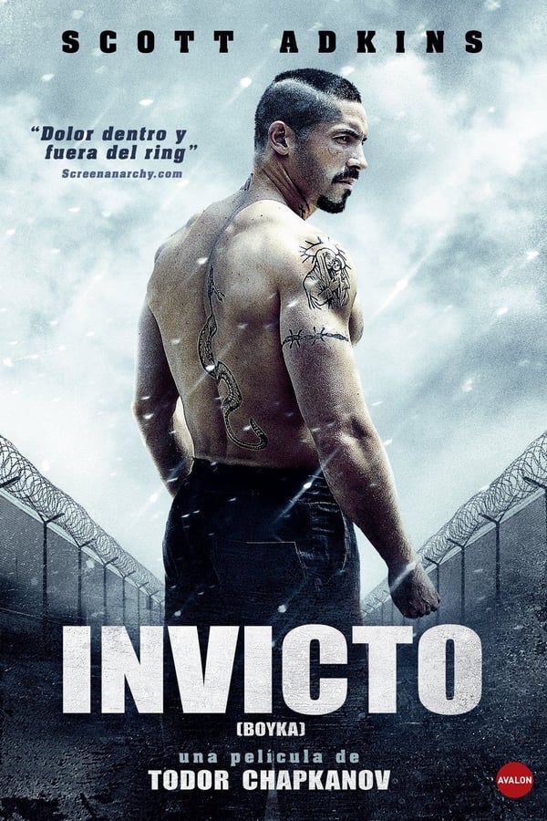 Zerone IPTV Pro ES - Boyka: Invicto IV  (2016)