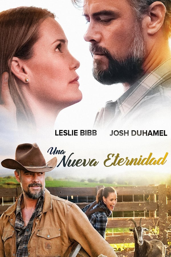 Zerone IPTV Pro ES - The Lost Husband (2020)