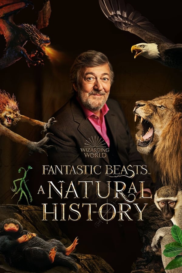 Zerone IPTV Pro EN - Fantastic Beasts: A Natural History  (2022)