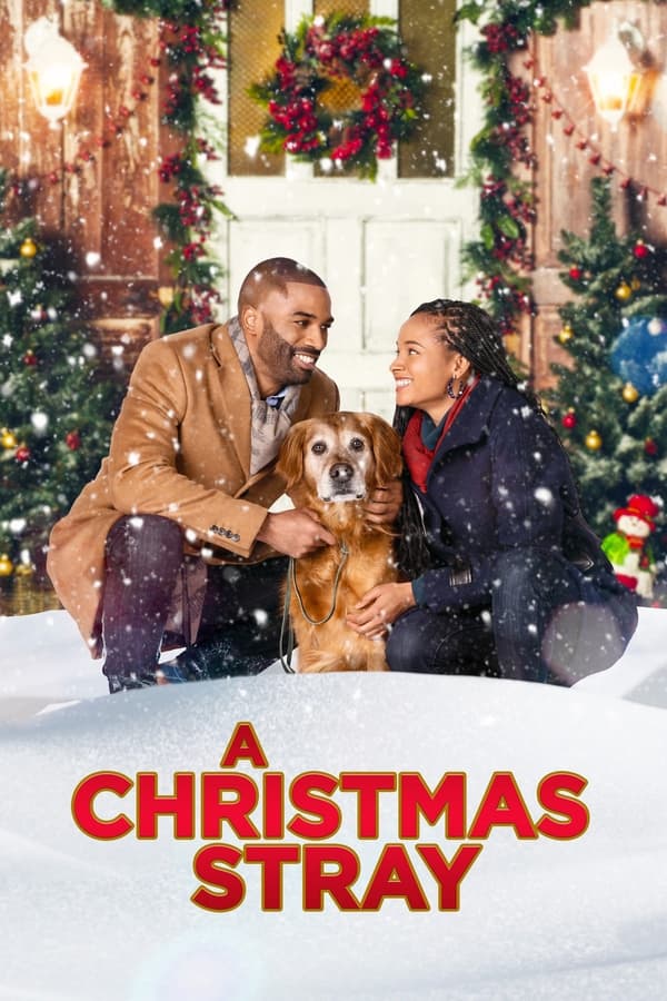 Zerone IPTV Pro EN - A Christmas Stray  (2021)