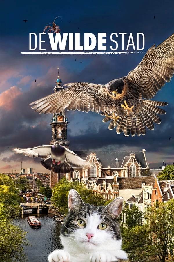 Zerone IPTV Pro NL - De Wilde Stad (2018)