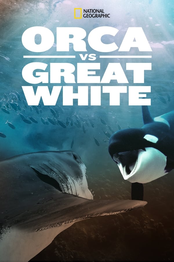 Zerone IPTV Pro FR - Orca Vs. Great White  (2021)