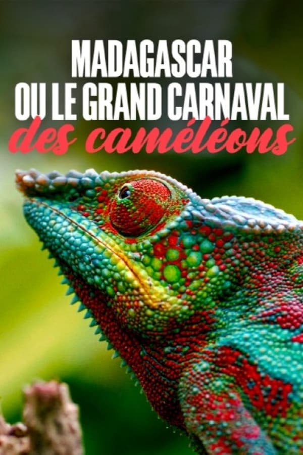 Zerone IPTV Pro FR - Madagascar ou le grand carnaval des caméléons (2024)