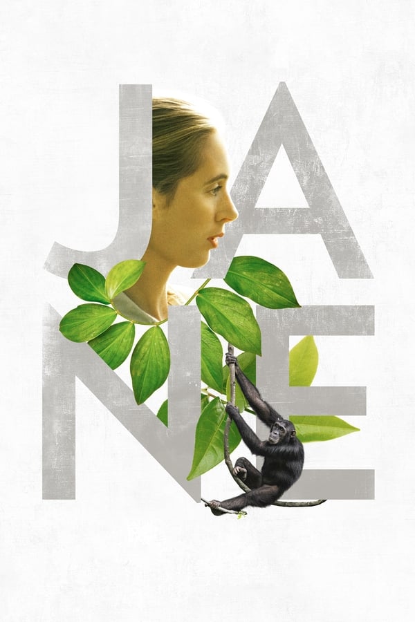 Zerone IPTV Pro NL - Jane (2017)