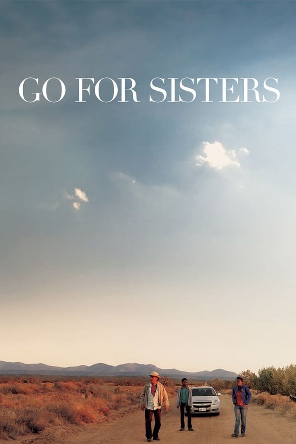 Zerone IPTV Pro NL - Go for Sisters (2013)