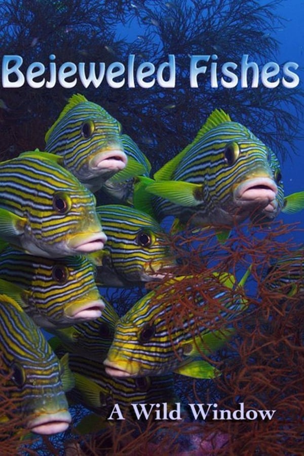 Zerone IPTV Pro FR - Wild Window: Bejeweled Fishes  (2016)