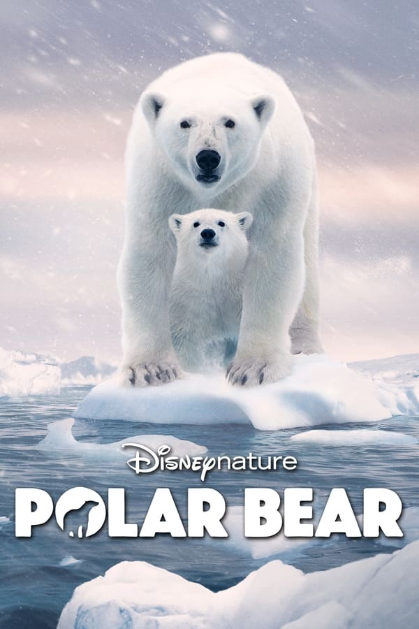 Zerone IPTV Pro EN - Polar Bear  (2022)