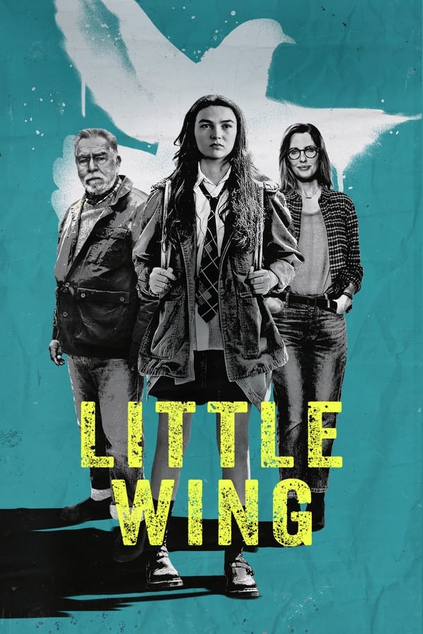 Zerone IPTV Pro EN - Little Wing (2024)