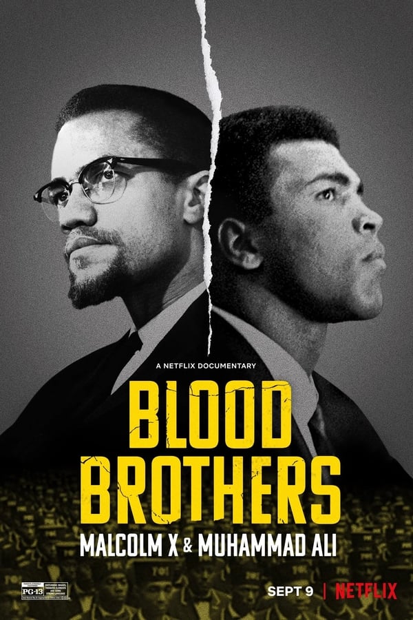 Zerone IPTV Pro FR - Blood Brothers: Malcolm X & Muhammad Ali  (2021)