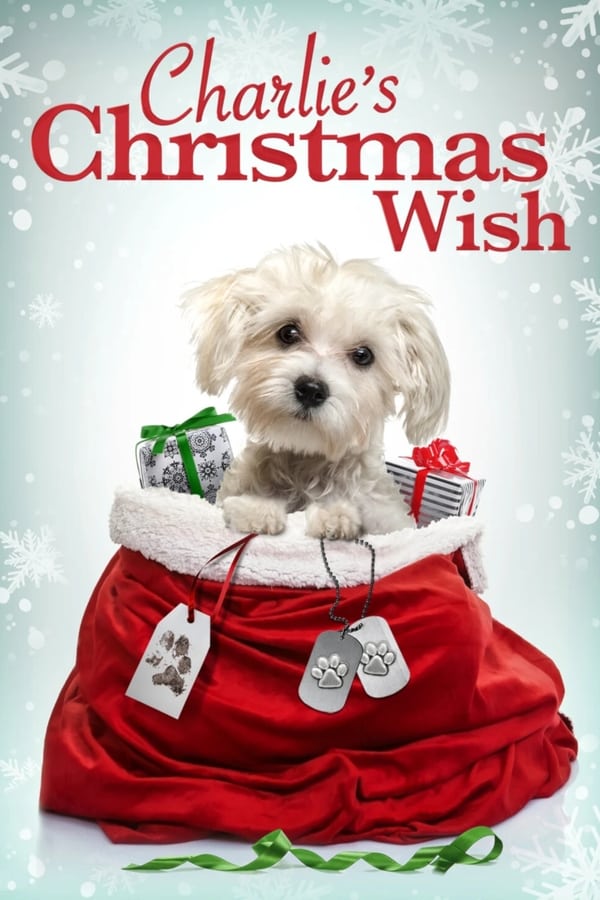 Zerone IPTV Pro EN - Charlie's Christmas Wish  (2020)