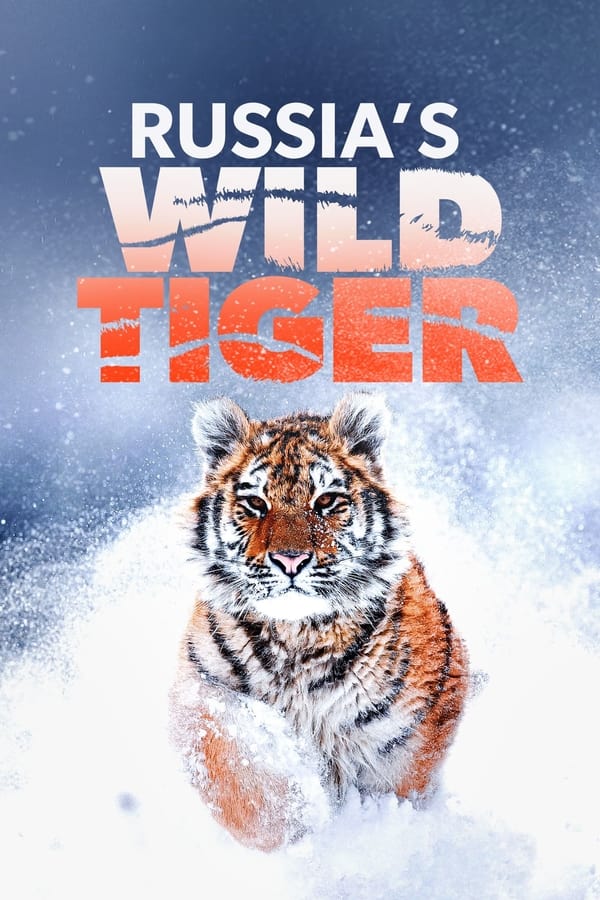 Zerone IPTV Pro EN - Russia's Wild Tiger (2022)