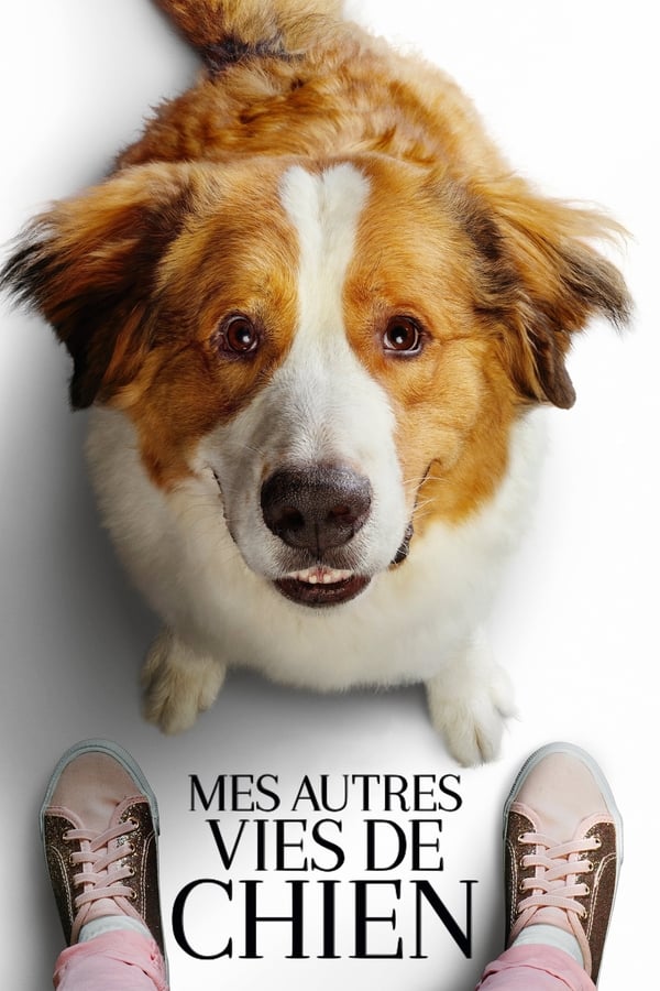 Zerone IPTV Pro FR - Mes autres vies de chien  (2019)