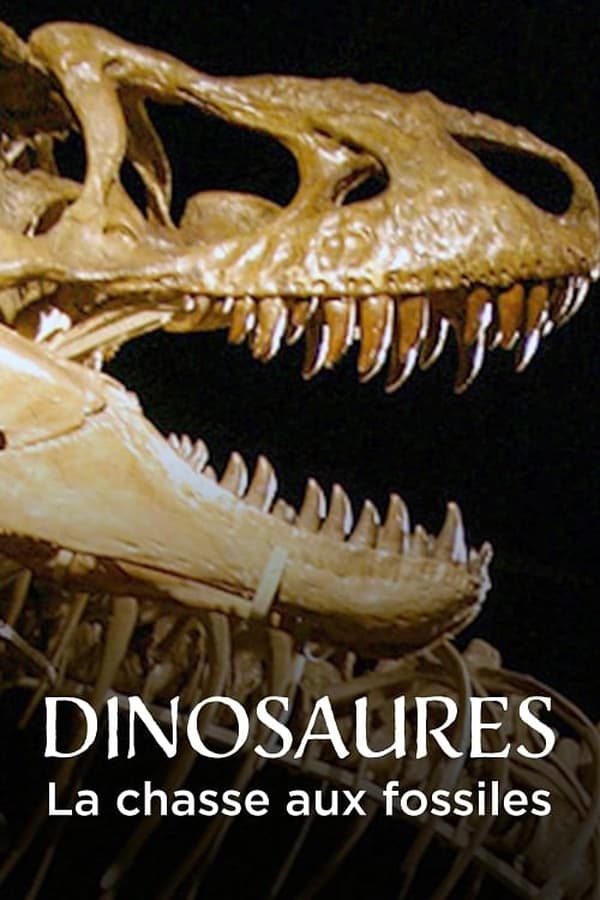 Zerone IPTV Pro FR - Dinosaures, la chasse aux fossiles (2024)